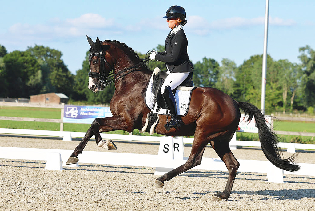 Joyce Vegter met Lincoln DC en foto's hieronder © Marjon Hoen.