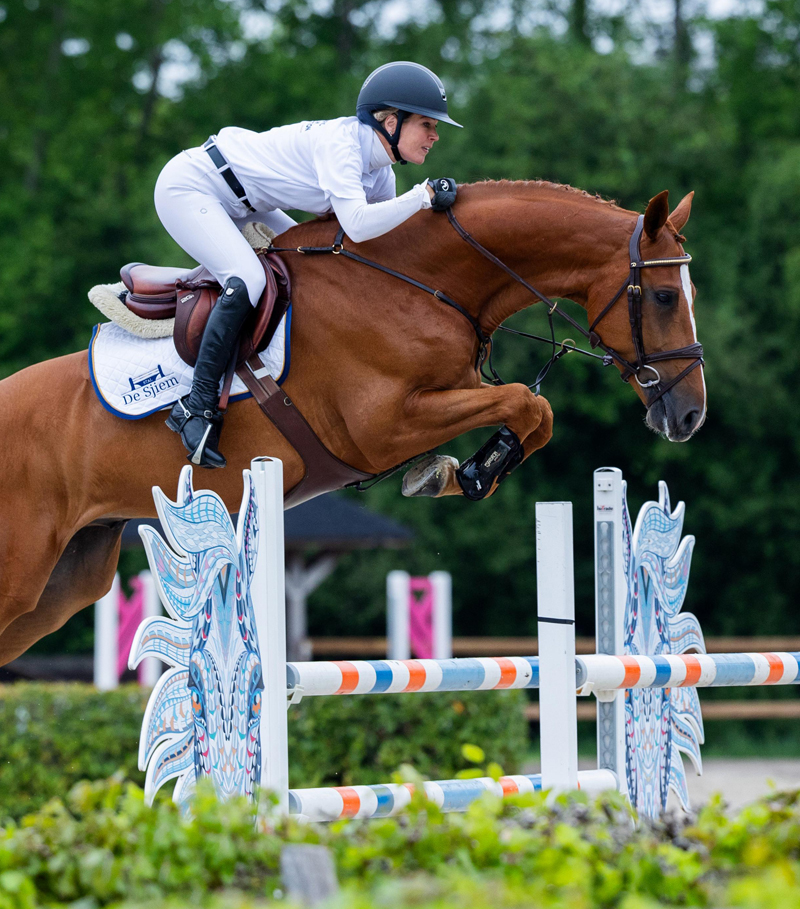 Rasputin RM enConny Lover SV (onder) bleken de toppers van de veiling. Foto's © Carolien Abbink-Kortman.NK