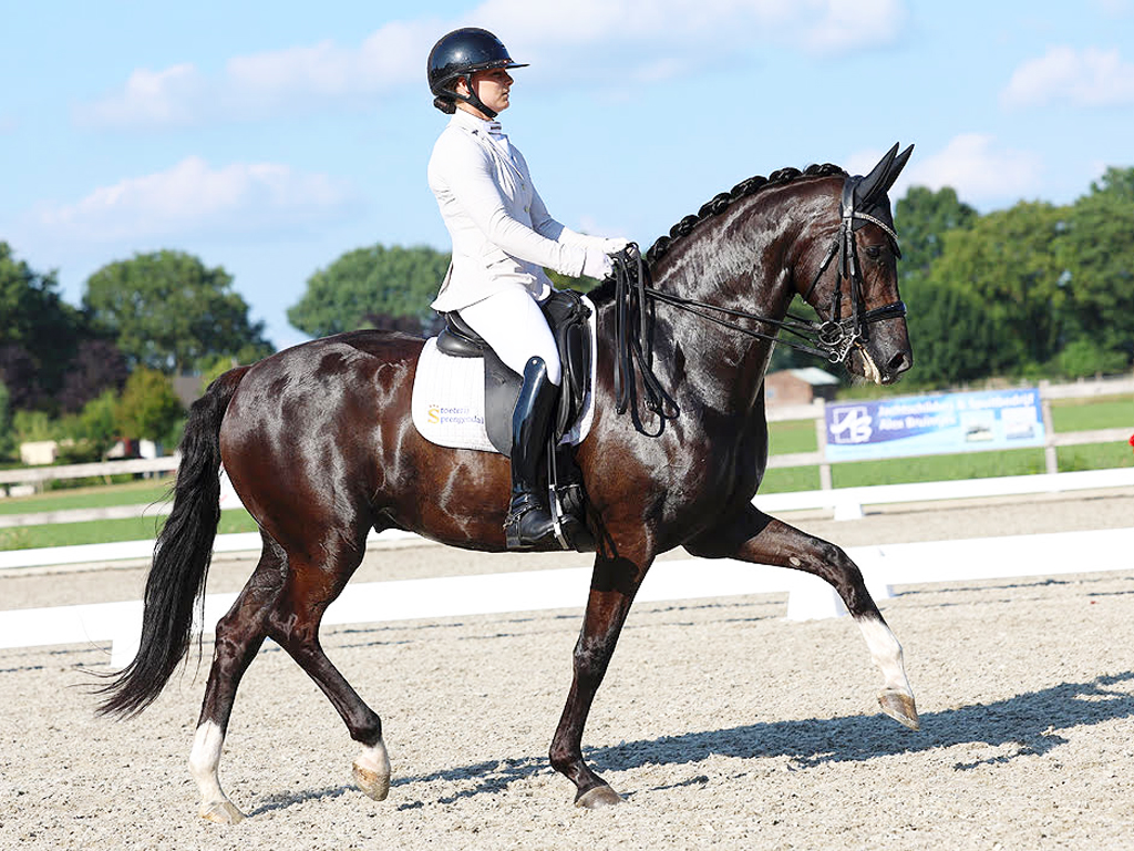 Ashley Langevoort met Phantom.